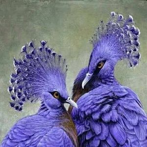 Meet your Posher, Barbara